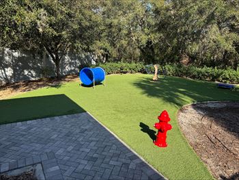 Bark park doggy park
