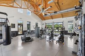 Locust Grove apartment for rent - A gym with a variety of equipment including a punching bag, treadmills, and weights.
