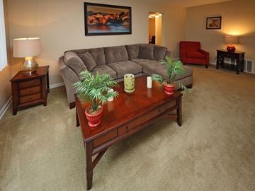 Euclid apartment for rent - A living room with a grey couch, a red chair, a coffee table with three potted plants on it, and a painting on the wall.