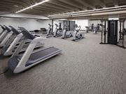 Cleveland apartment for rent - Brand New On-Site Fitness Center at The Residences at 668 Apartments, Cleveland OH 44114
