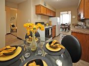 Euclid apartment for rent - 2 Bedroom 1 Bath Model Suite Kitchen at Harbor Crest Apartments, Euclid, OH, 44123
