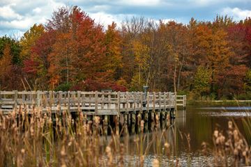 Mayfield Heights apartment for rent - A wooden bridge over a body of water with autumn trees in the background.