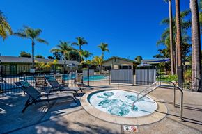 Vista apartment for rent - A hot tub sits in the middle of a pool surrounded by palm trees.