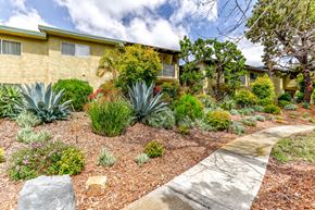 Vista apartment for rent - 1575 Oak pathway through a garden in front of a yellow building.