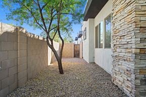 Chandler apartment for rent - A tree is in a courtyard between two buildings.