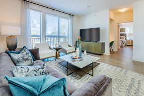 Raleigh apartment for rent - Open Concept Living Areas
