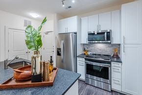 Raleigh apartment for rent - Gourmet Chef's Kitchen With Stainless Steel Appliances
