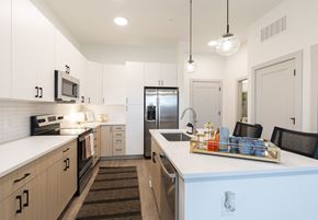 Durham apartment for rent - kitchen with a counter top and a sink