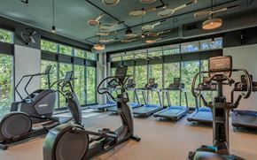 Raleigh apartment for rent - A gym with treadmills and elliptical machines.