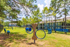Durham apartment for rent - Bark Park