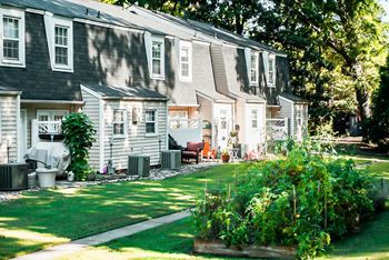 Community garden