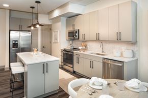 Raleigh apartment for rent - Kitchen with stainless steel appliances