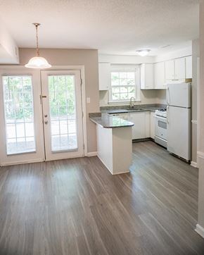 Raleigh apartment for rent - Renovated kitchen with plank flooring and granite countertops