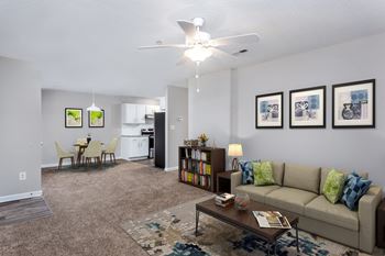 Ceiling fans