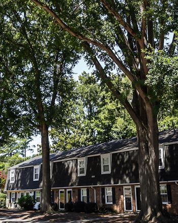 Expansive grounds with towering oak trees and green spaces