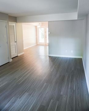 Raleigh apartment for rent - Hardwood plank flooring