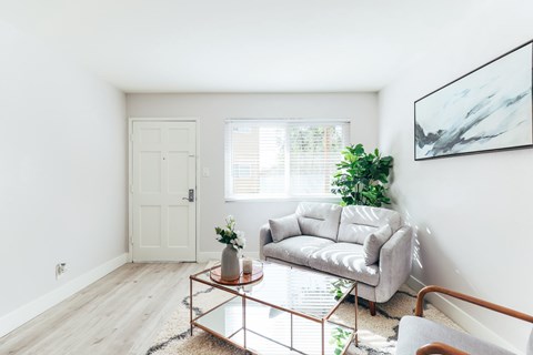 Floor plan for 1 bed, 1 bath, 440 sqft