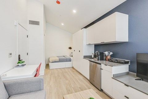 Floor plan for studio, 1 bath, 265 sqft
