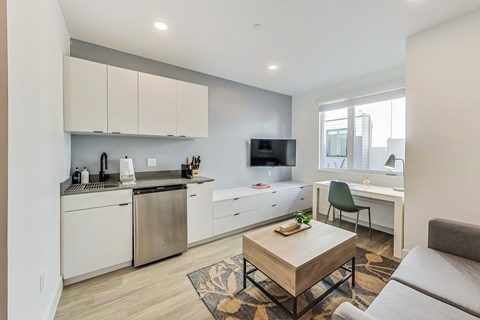 Floor plan for studio, 1 bath, 255 sqft
