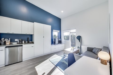 Floor plan for studio, 1 bath, 290 sqft