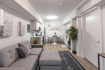 Oakland apartment for rent - A modern living room with a grey sofa and a black and white rug.