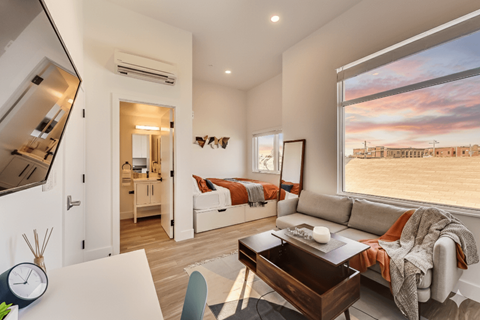 Floor plan for studio, 1 bath, 290 sqft