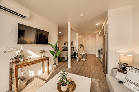 Floor plan for studio, 1 bath, 557 sqft