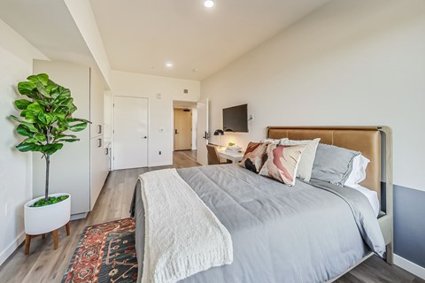 Floor plan for studio, 1 bath, 353 sqft