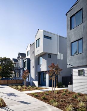 Oakland apartment for rent - Bold Design