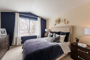 Greenwood Village apartment for rent - Bedroom with large windows at Bridgwater, Colorado, 80111