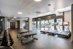San Francisco apartment for rent - A gym with treadmills, weights, and a table.