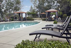 Escondido apartment for rent - Pool Area With Sun Lounge Chairs, Landscaped Greens, Cabanas, And Jacuzzi. at Alta Vista, Escondido