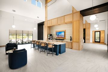 Mckinney apartment for rent - A modern living room with a black couch and a wooden cabinet.