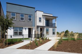 Fully landscaped front yard