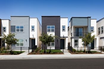 Fully landscaped front yard