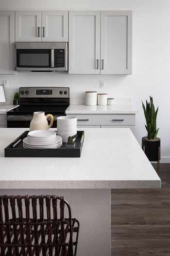 Quartz countertops in kitchen and bath