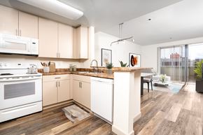 Valley Village apartment for rent - furnished kitchen