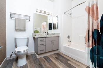 Designer bathrooms