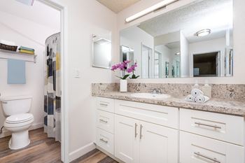 Spa-style bathrooms