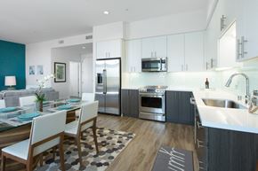 Sunnyvale apartment for rent - loft house furnished kitchen with stainless steel appliances