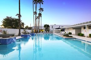 Scottsdale apartment for rent - Fully Furnished Apartments in Scottsdale, AZ - Winfield Scottsdale - Luxurious Swimming Pool with Clear Blue Water Surrounded by Tall Palm Trees.
