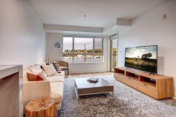 A modern living room with a flat screen tv and a view of the outdoors through the window.