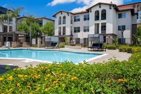 Rancho Cucamonga apartment for rent - A pool surrounded by flowers and a building in the background. at 55+ FountainGlen Terra Vista, California, 91730