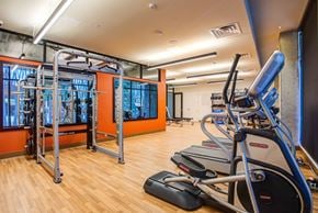 Berkeley apartment for rent - A gym with treadmills, weights, and exercise equipment.
