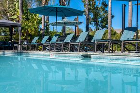 Chino Hills apartment for rent - A pool with blue umbrellas and chairs. at Missions at Chino Hills Apartments, California, 91709