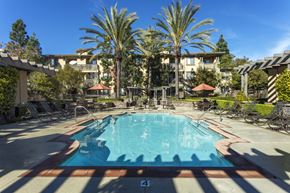 Ladera Ranch apartment for rent - a resort style pool with chaise lounge chairs and palm trees in the background at 55+ Remington at Ladera Ranch, Ladera Ranch