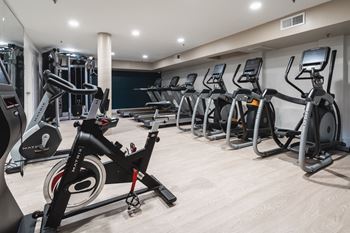 Fitness center with ellipticals and treadmills