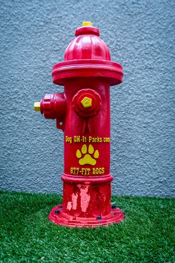 Fire hydrant at pet park