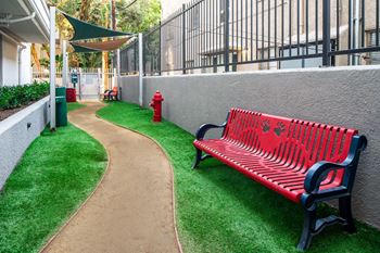 Pet park with a bench