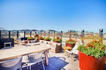 Rooftop garden with lounge